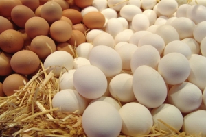 Яйцо – один из главных ингредиентов на нашей кухне