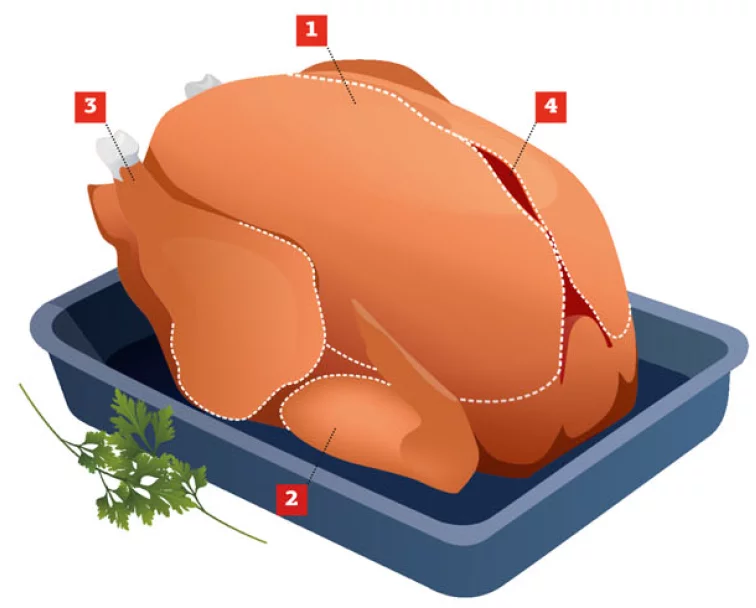 Вкусная индейка. Инфрмация про грудинку индейки, крыло индейки, бедро, голень и внутренности