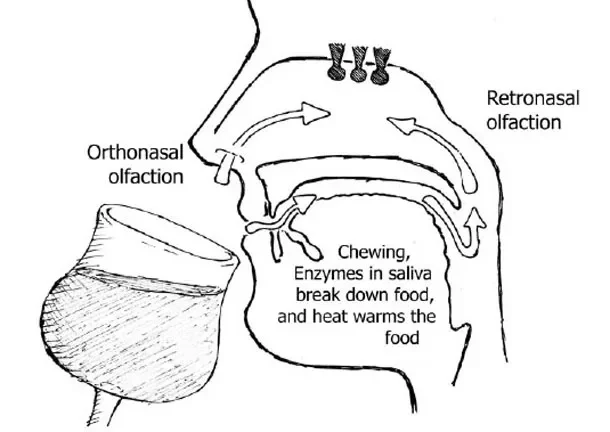 Коктейльная наука: 5 мифов о льде, развенчанных 1 Коктейльная наука: 5 мифов о льде, развенчанных