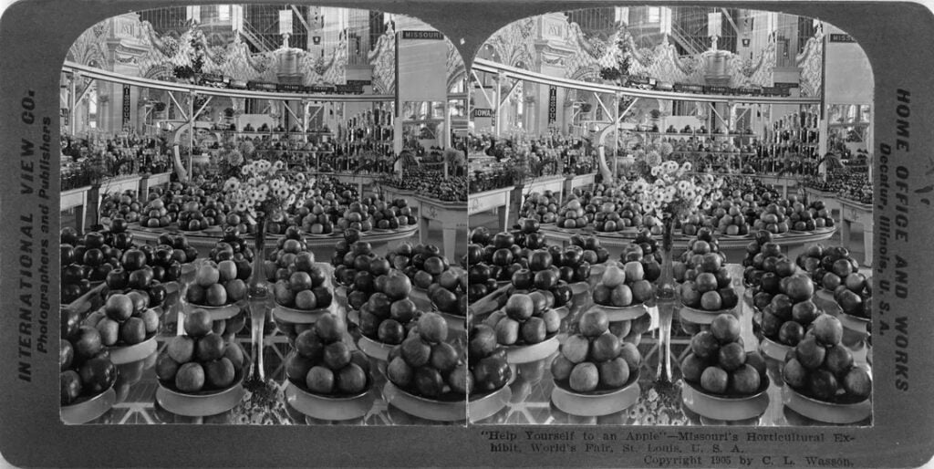 Всемирная выставка 1904 года: Переломный момент для американской кухни