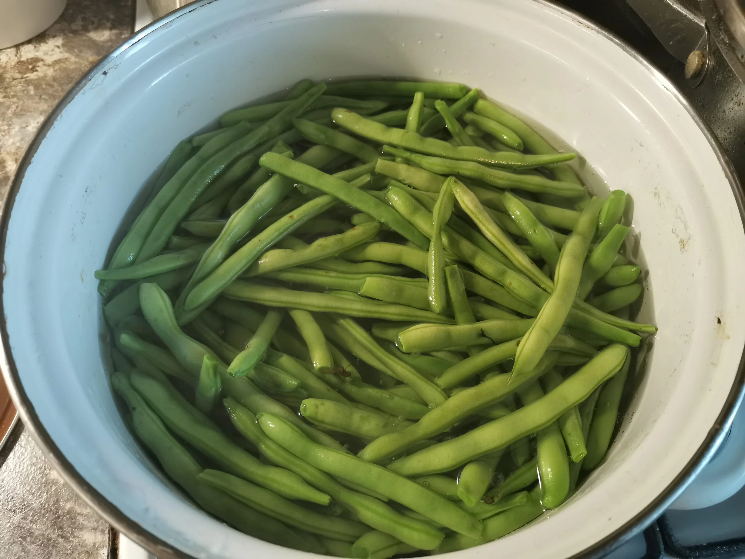 Маринованная спаржевая стручковая фасоль