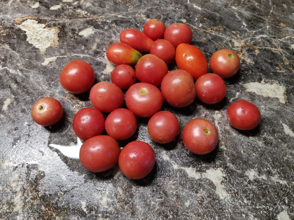 Маринованные помидоры со сладким перцем