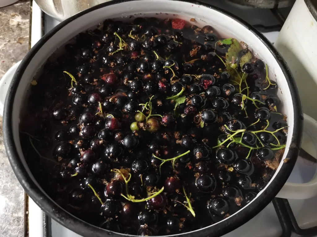 Морс из жмыха смородины